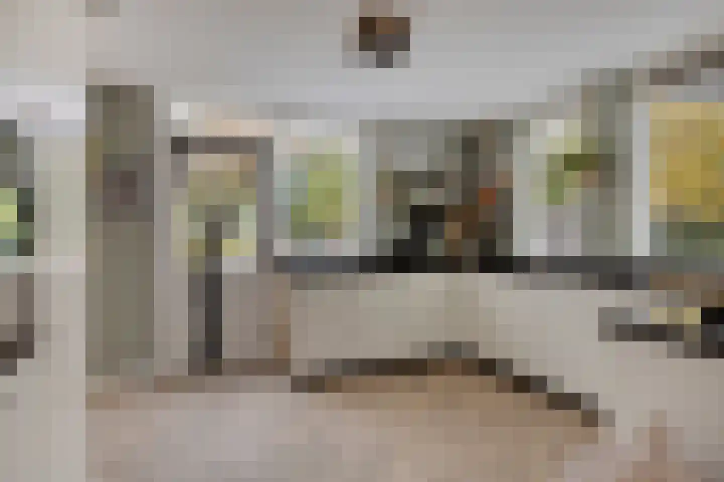 Grevelingenstraat 20 Sirjansland thumbnail 12