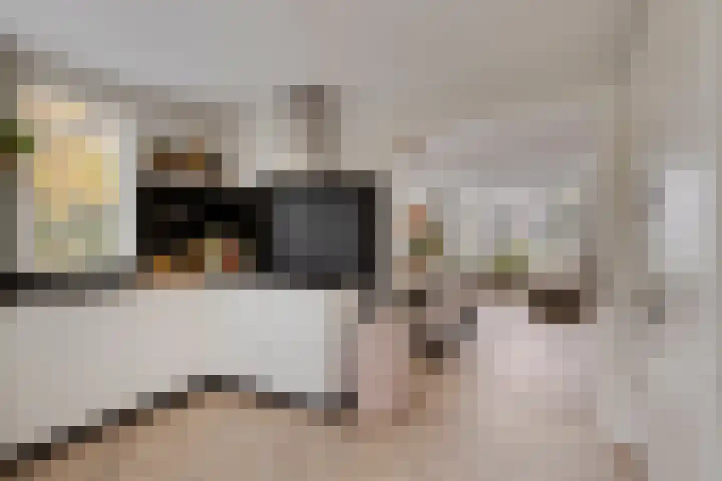 Grevelingenstraat 20 Sirjansland thumbnail 13