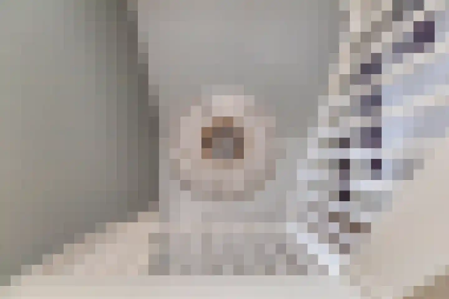 Grevelingenstraat 20 Sirjansland thumbnail 17