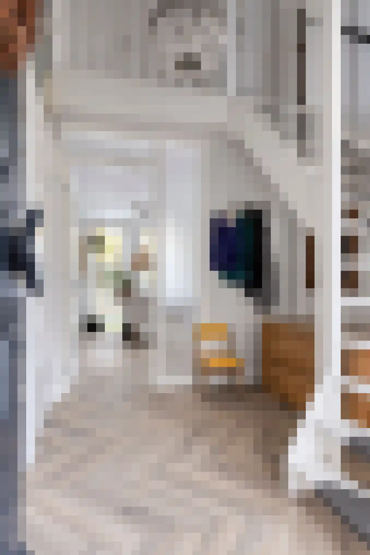 Grevelingenstraat 20 Sirjansland thumbnail 18