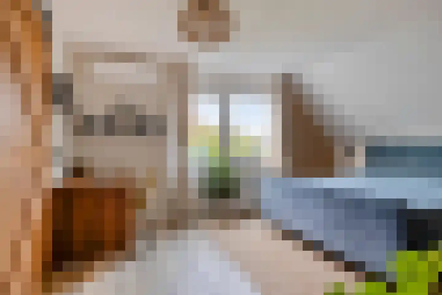 Grevelingenstraat 20 Sirjansland thumbnail 20