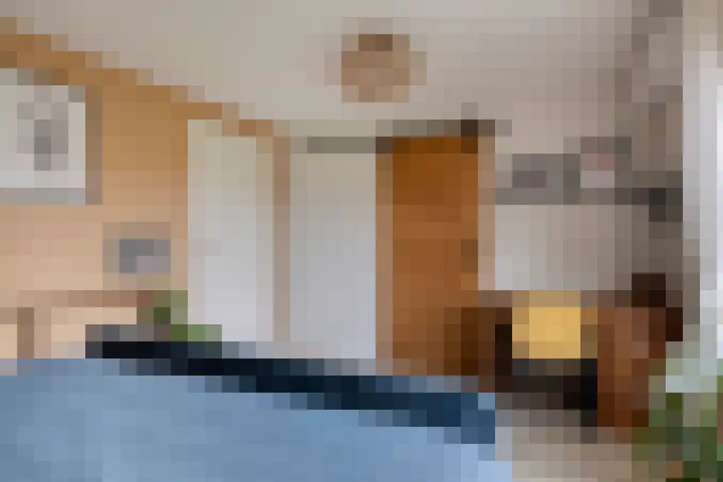 Grevelingenstraat 20 Sirjansland thumbnail 22
