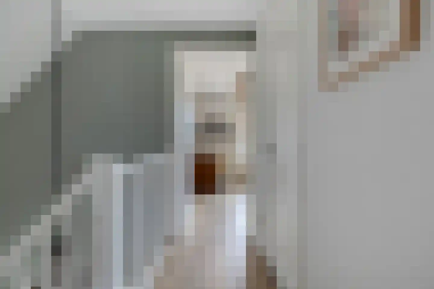 Grevelingenstraat 20 Sirjansland thumbnail 30