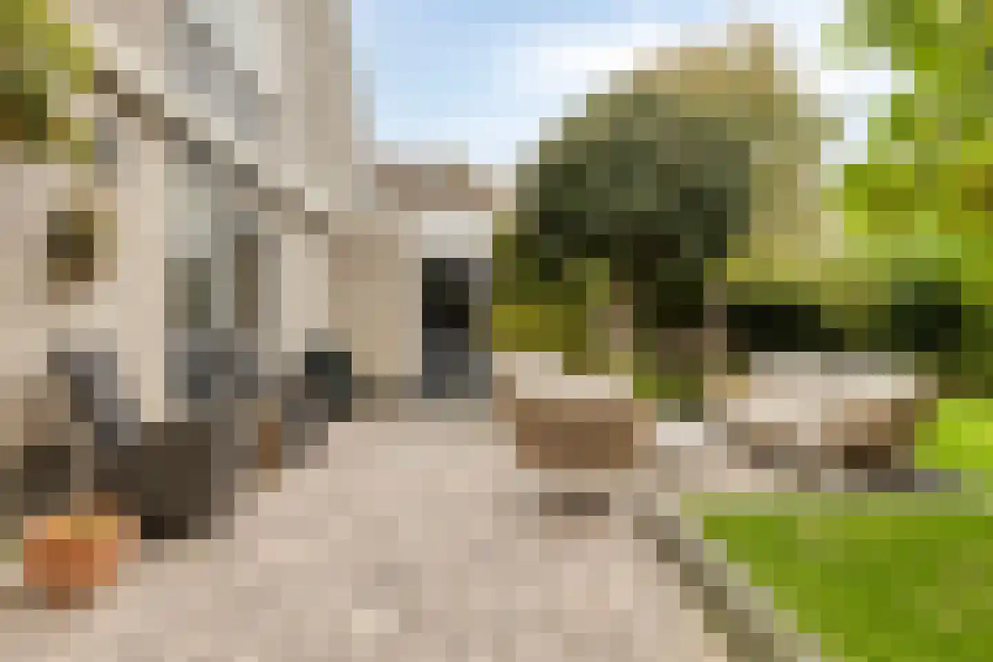 Grevelingenstraat 20 Sirjansland thumbnail 31
