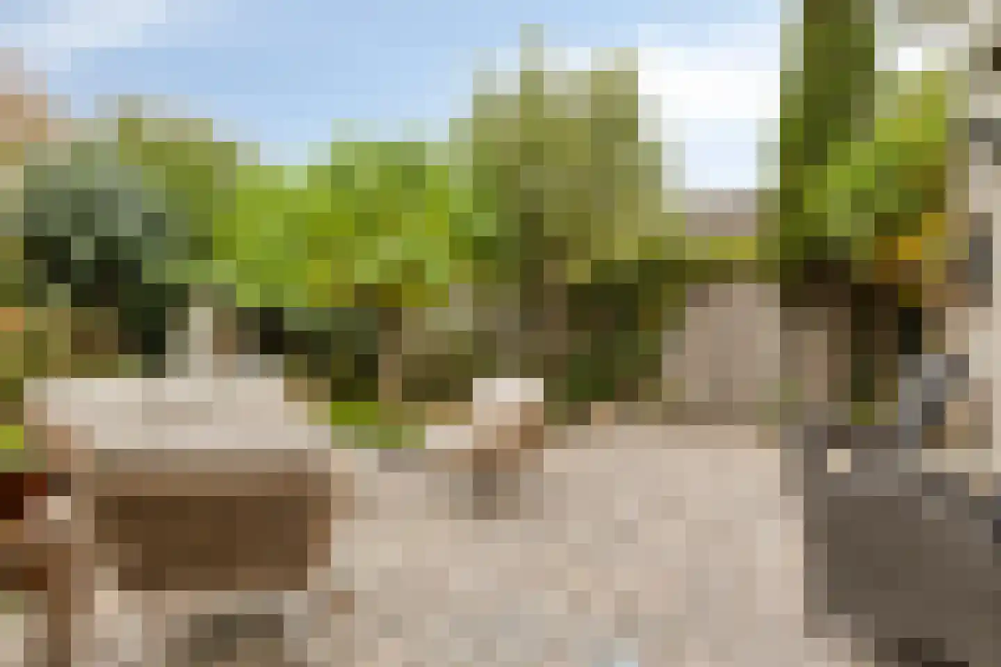 Grevelingenstraat 20 Sirjansland thumbnail 33