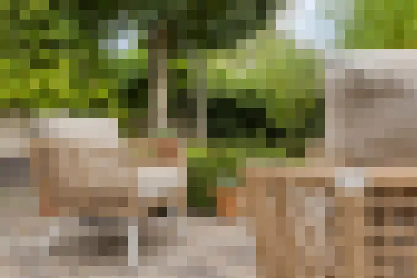 Grevelingenstraat 20 Sirjansland thumbnail 38