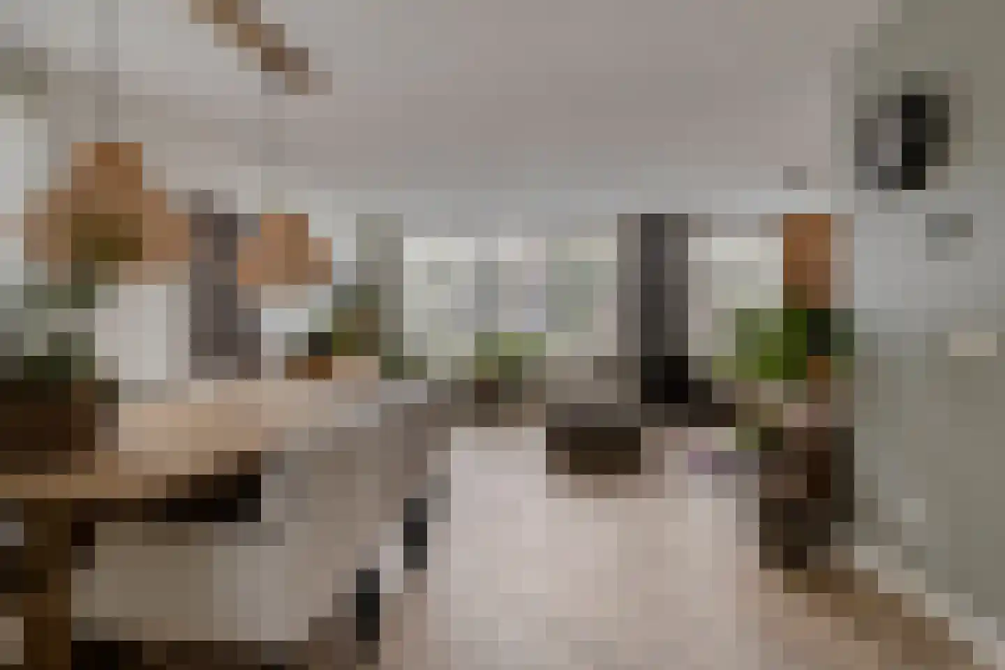 Grevelingenstraat 20 Sirjansland thumbnail 4