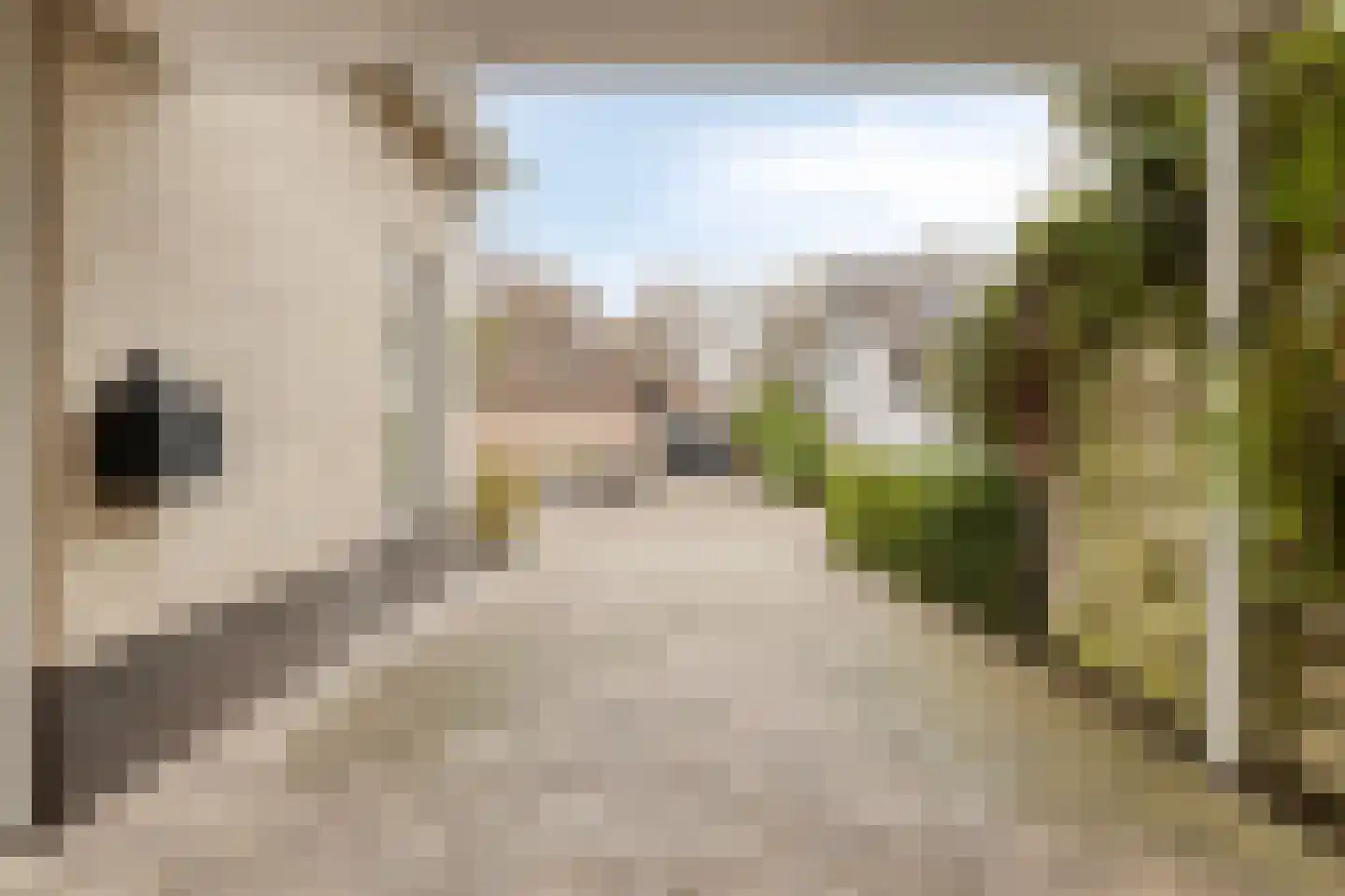 Grevelingenstraat 20 Sirjansland thumbnail 41