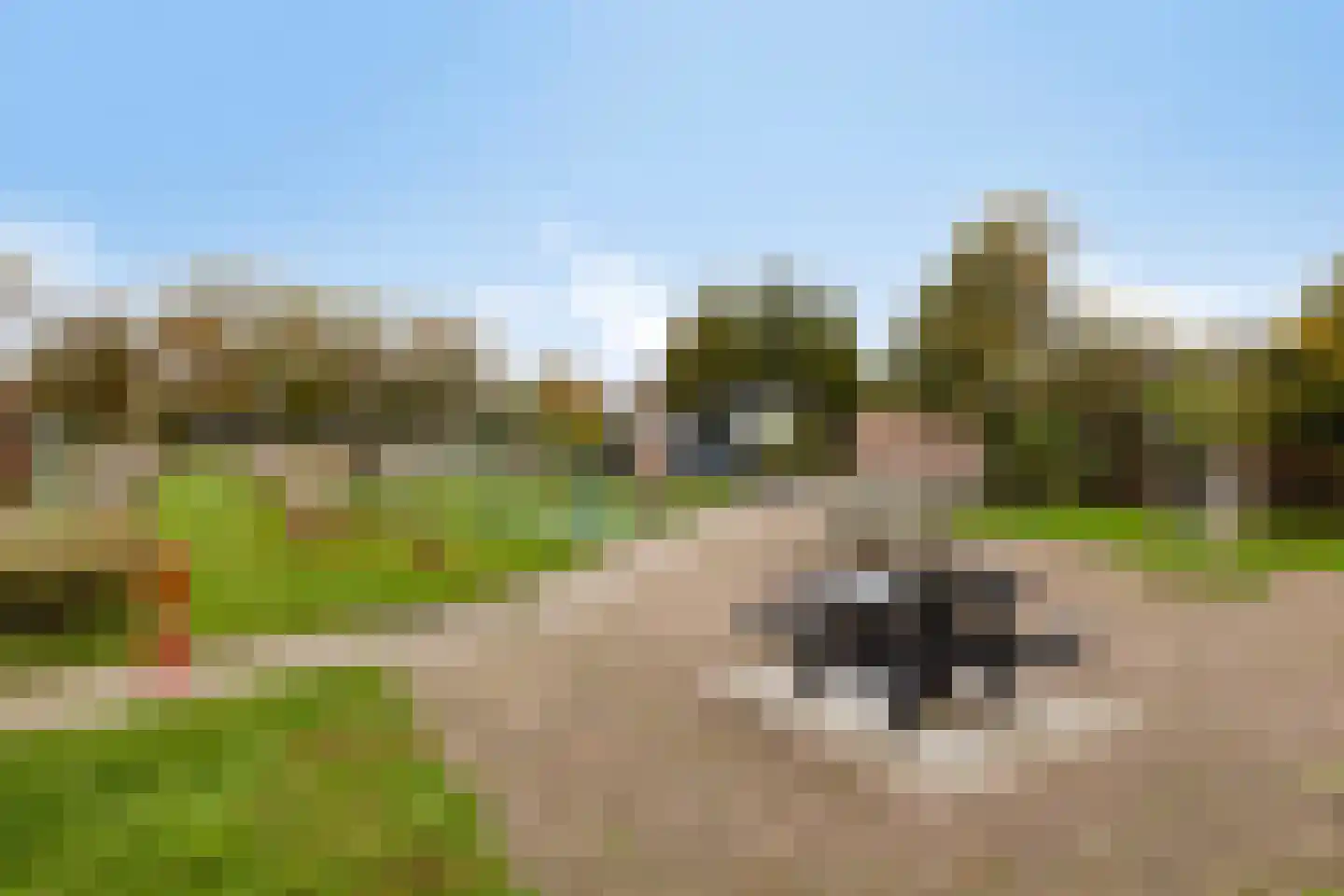 Grevelingenstraat 20 Sirjansland thumbnail 42