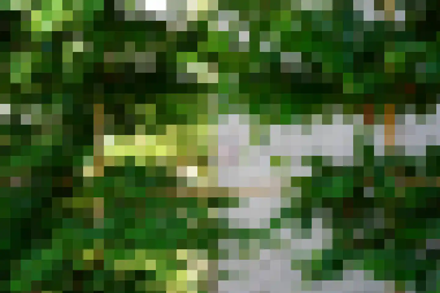 Grevelingenstraat 20 Sirjansland thumbnail 44