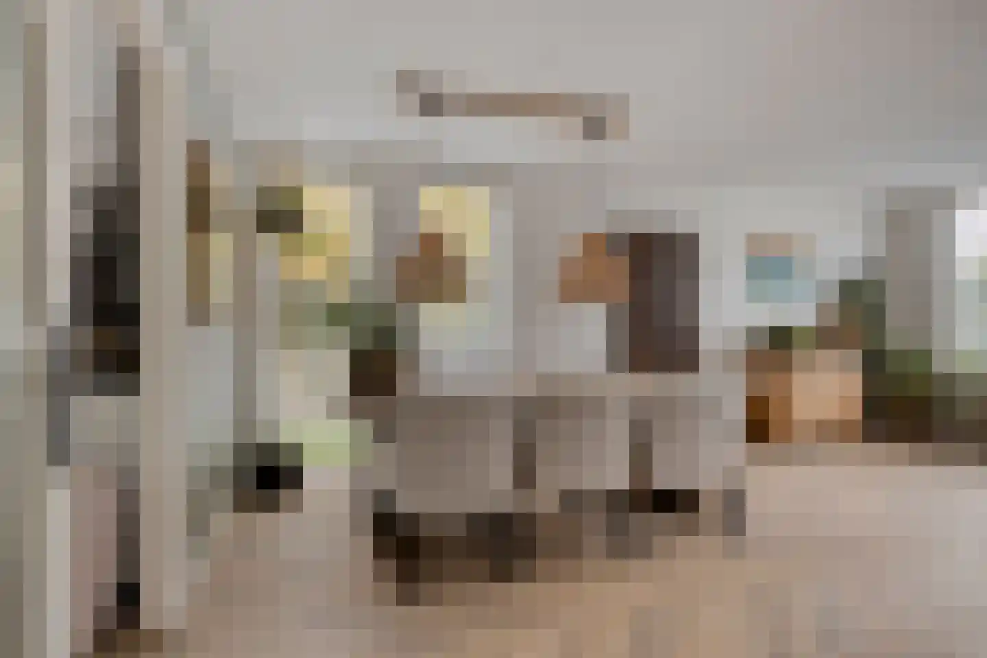Grevelingenstraat 20 Sirjansland thumbnail 6