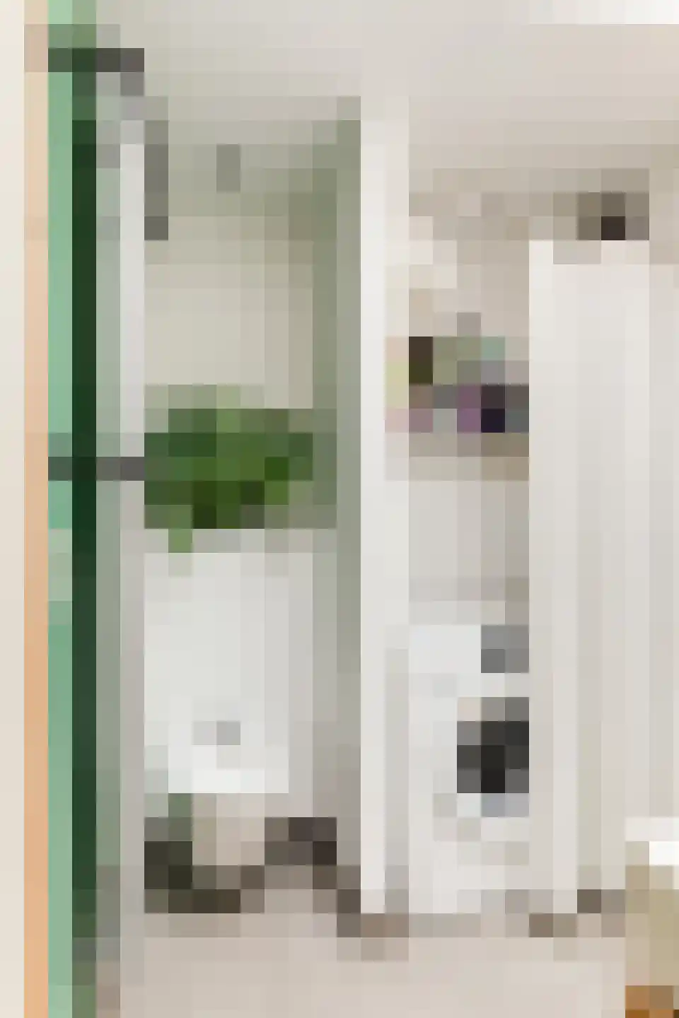 Grevelingenstraat 22 2 Amsterdam thumbnail 29