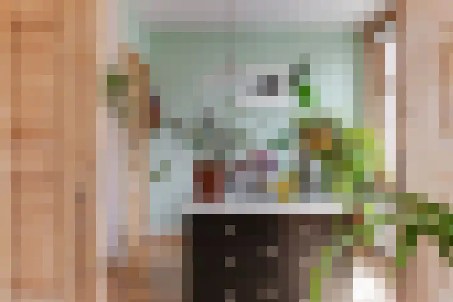 Grevelingenstraat 22 2 Amsterdam thumbnail 7