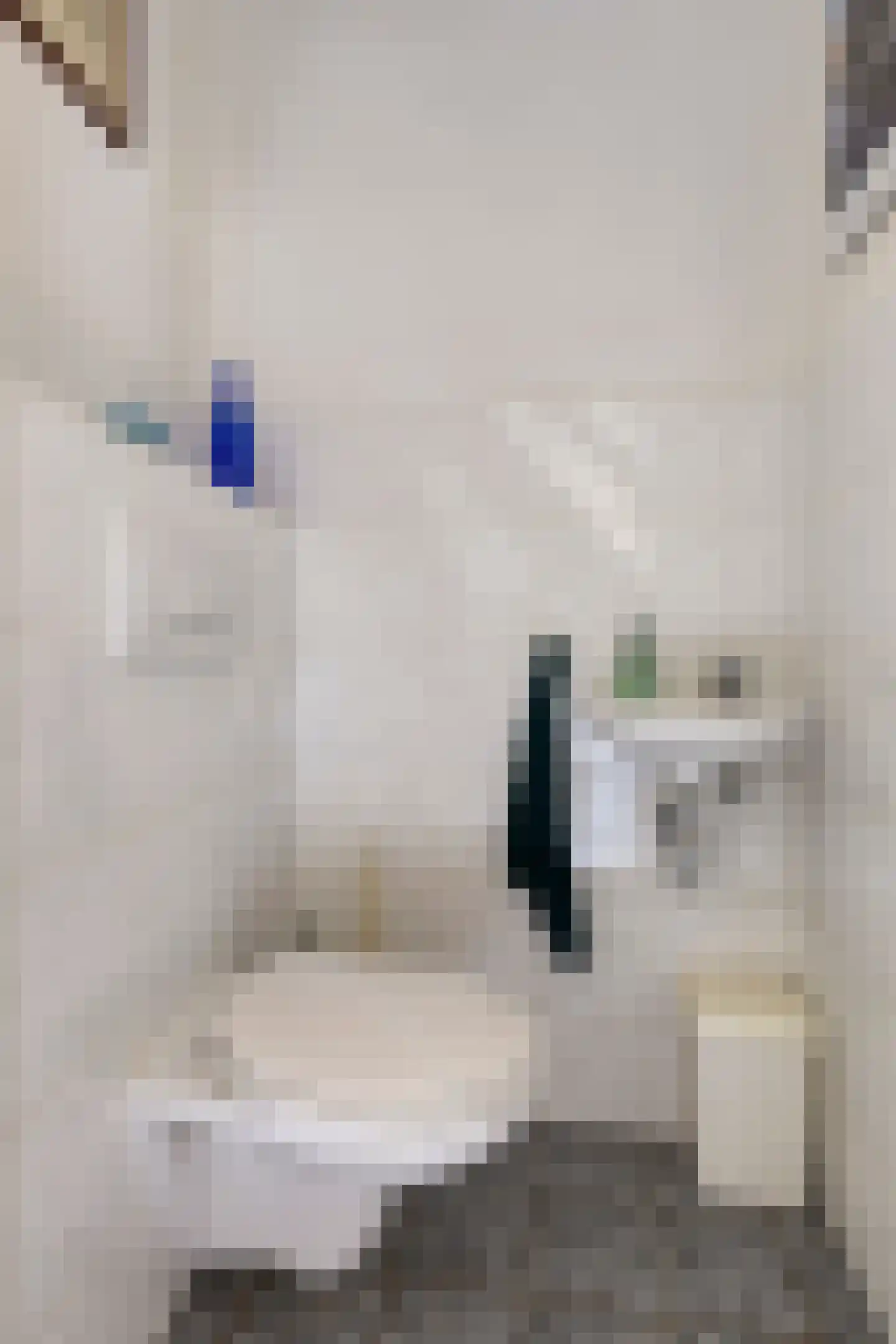 Grevelingenstraat 22 Sirjansland thumbnail 12