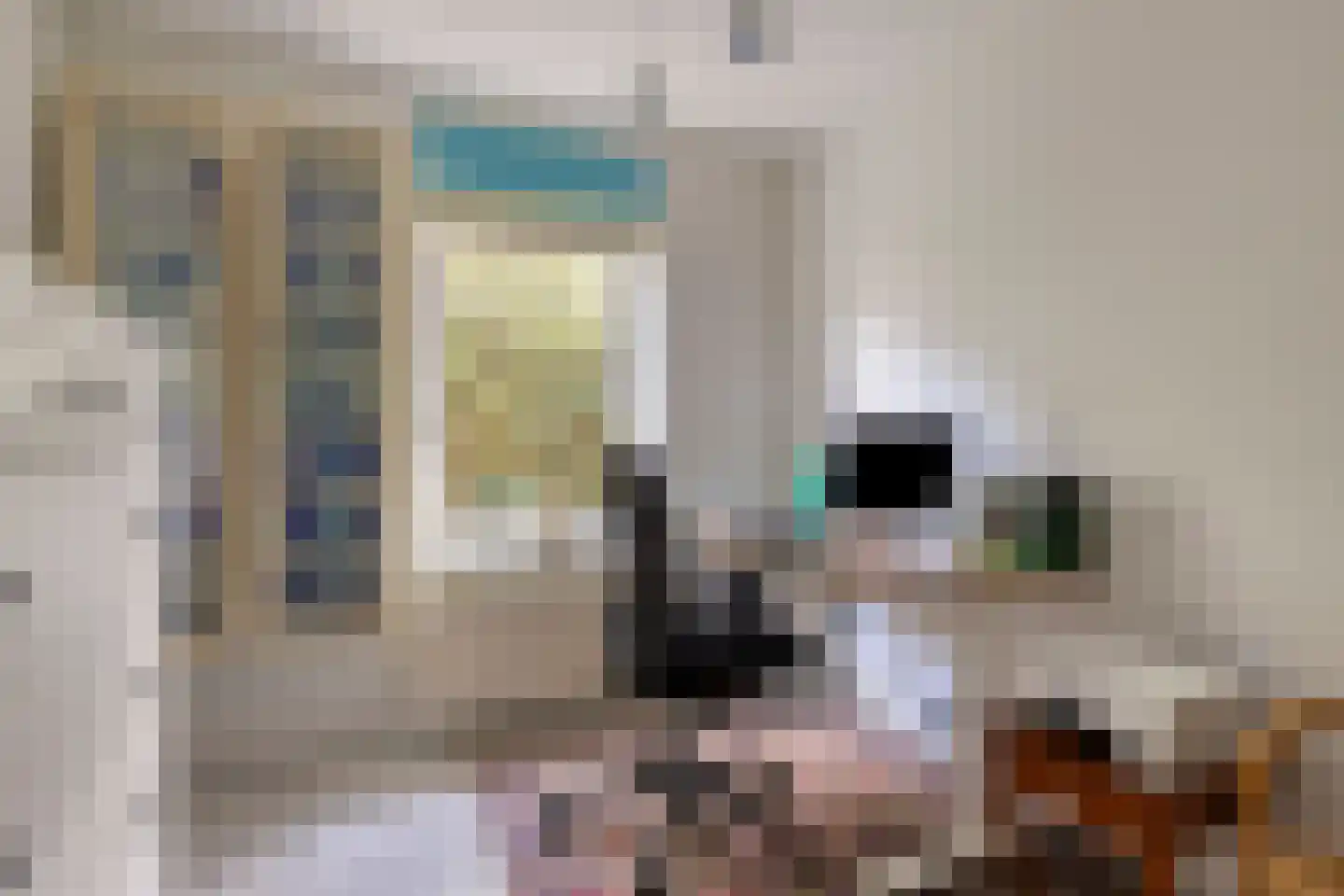 Grevelingenstraat 22 Sirjansland thumbnail 14