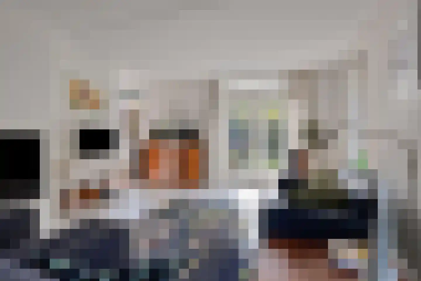 Grevelingenstraat 22 Sirjansland thumbnail 15