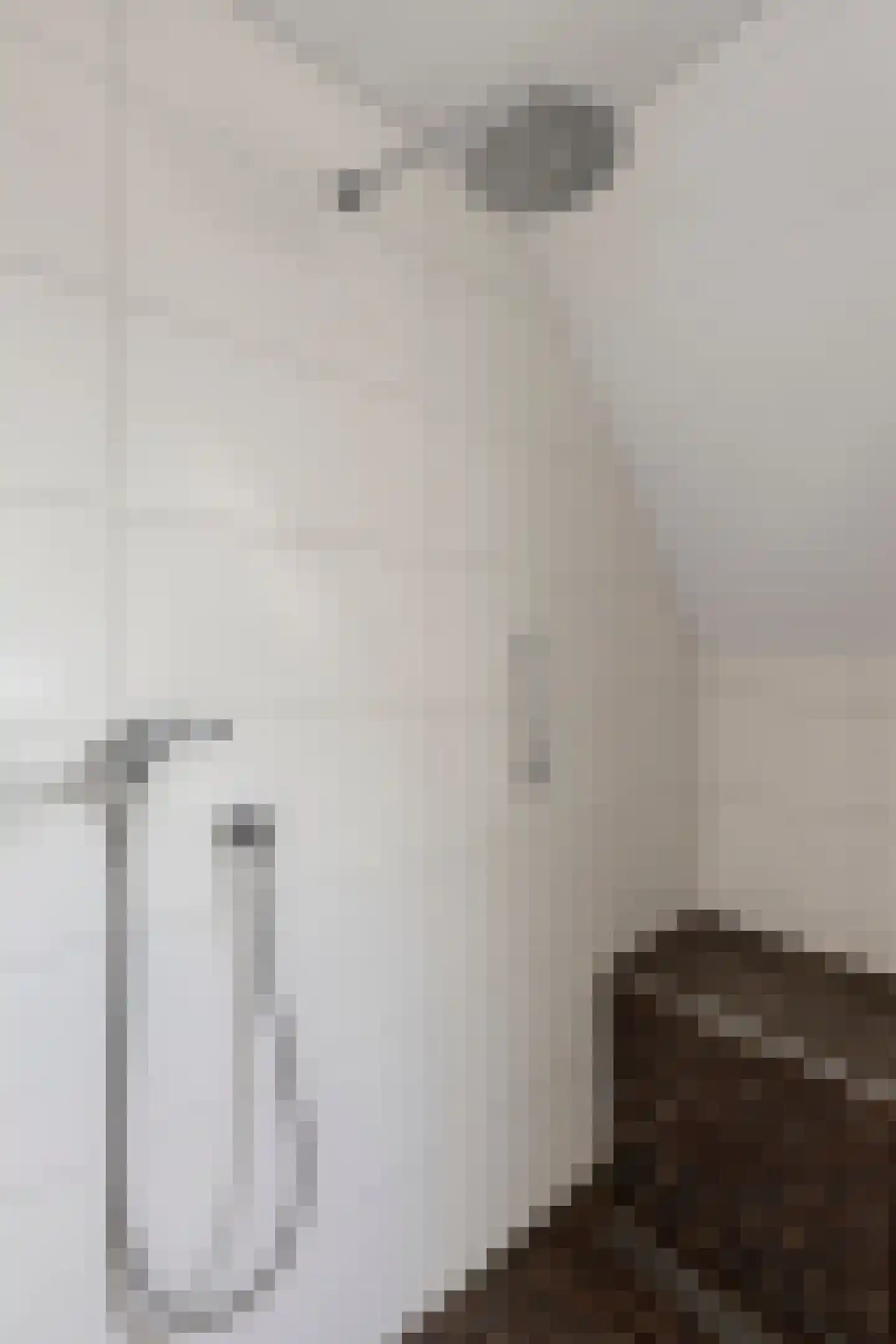 Grevelingenstraat 22 Sirjansland thumbnail 33