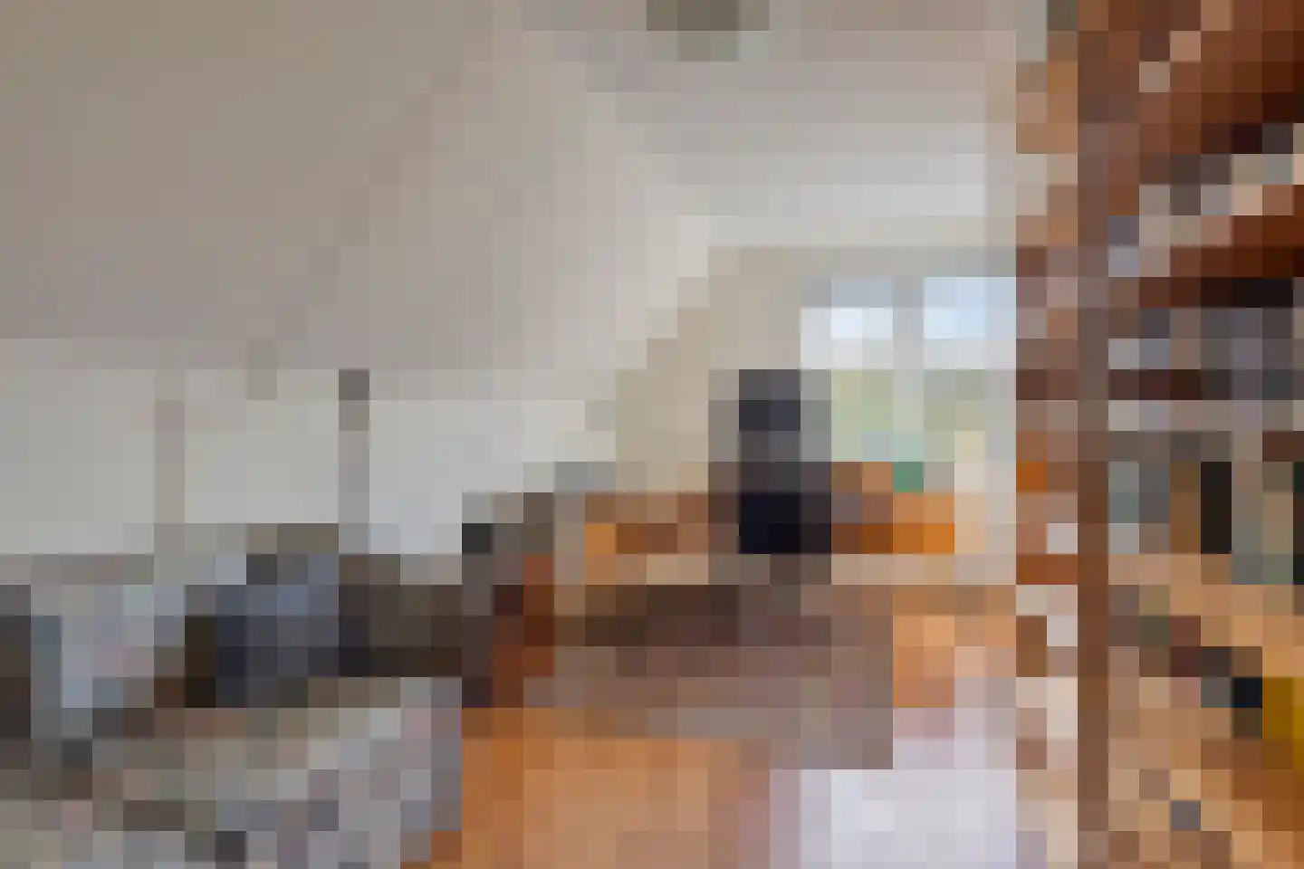 Grevelingenstraat 22 Sirjansland thumbnail 34