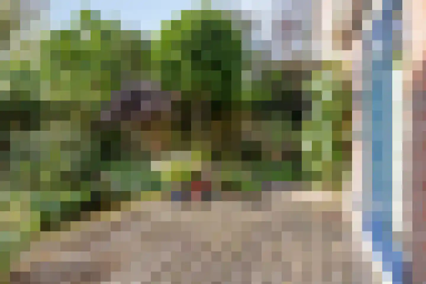 Grevelingenstraat 22 Sirjansland thumbnail 45