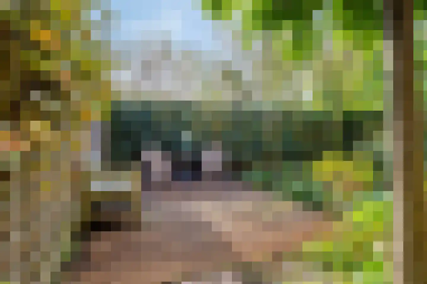 Grevelingenstraat 22 Sirjansland thumbnail 46