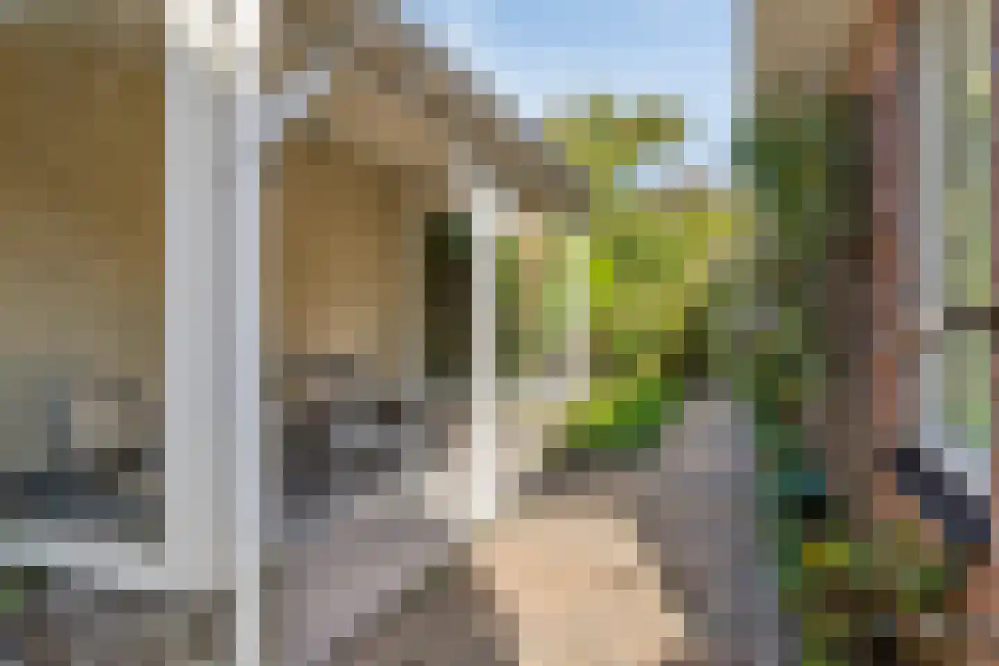 Grevelingenstraat 22 Sirjansland thumbnail 47