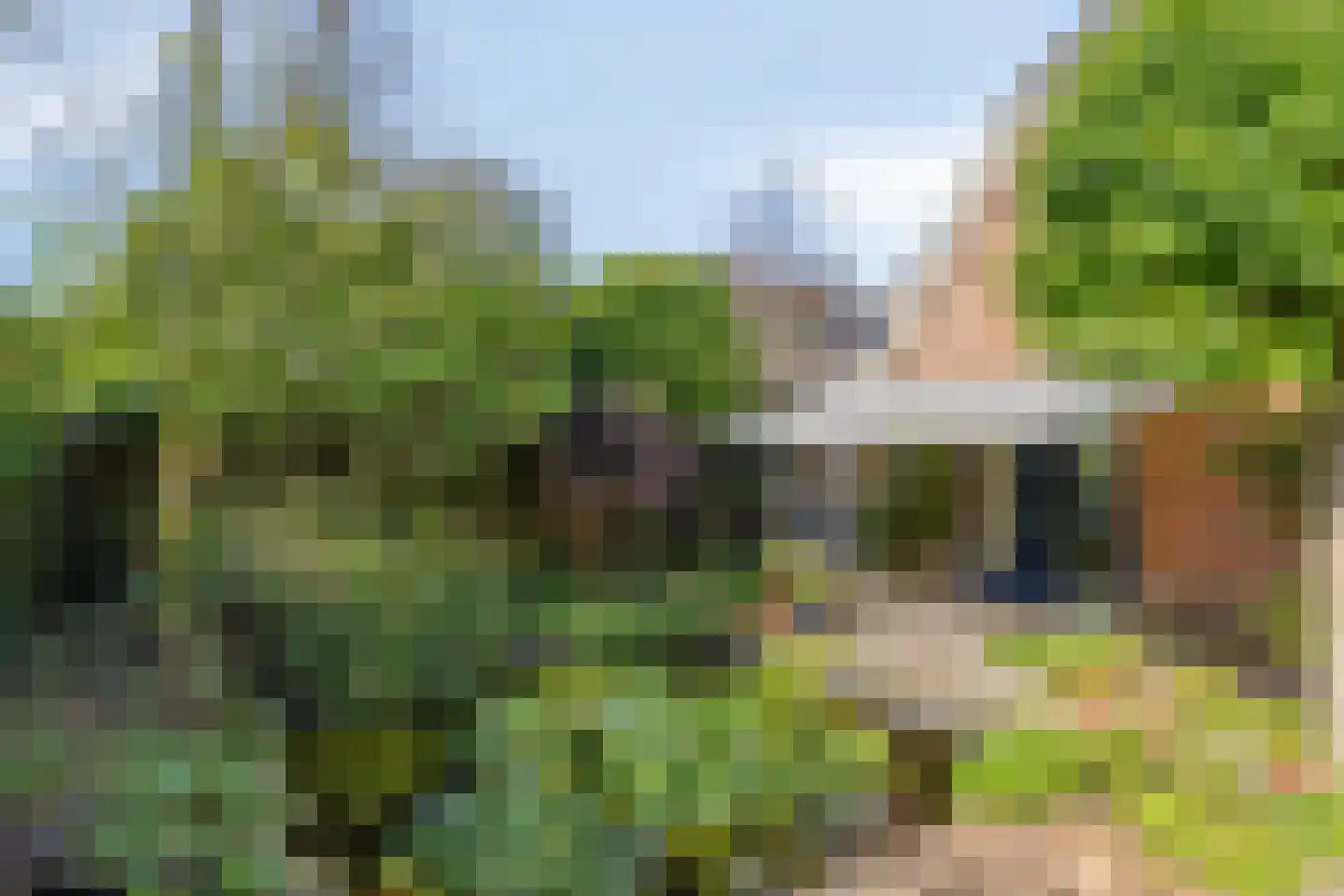Grevelingenstraat 22 Sirjansland thumbnail 6