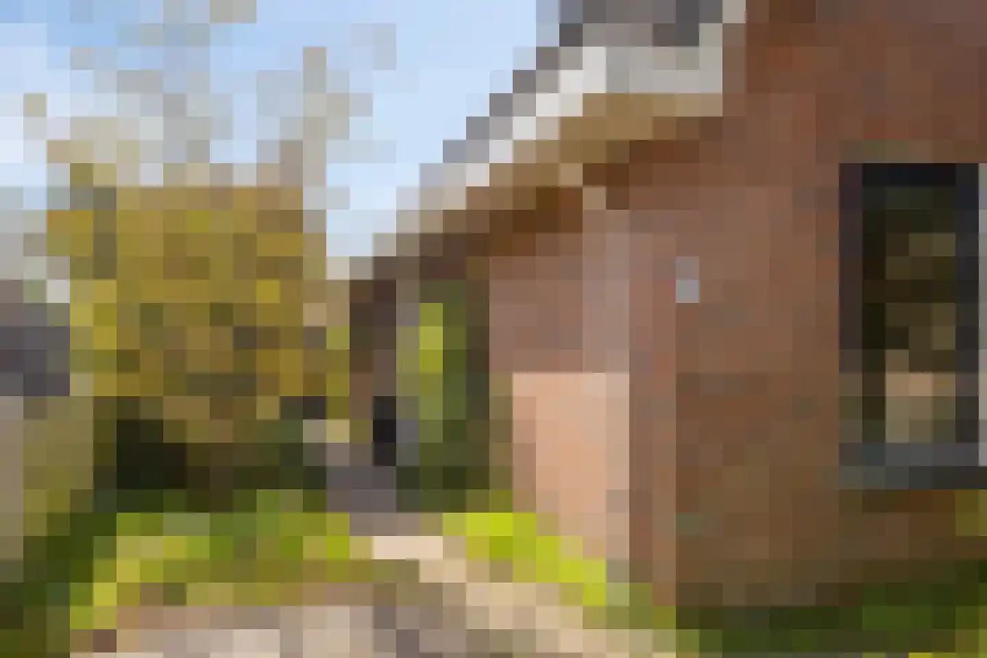 Grevelingenstraat 22 Sirjansland thumbnail 8