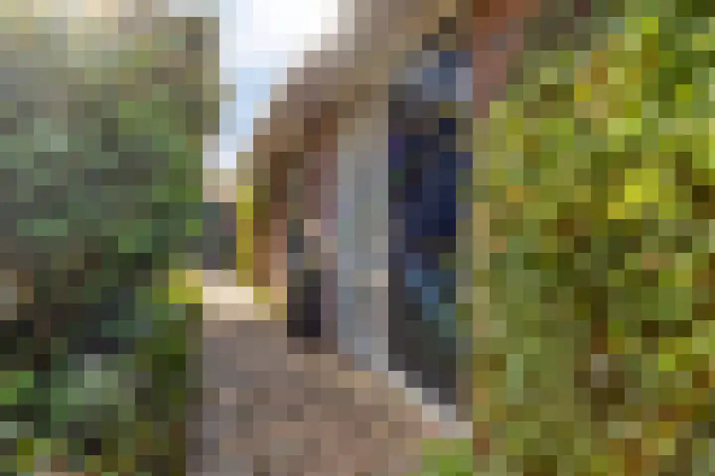 Grevelingenstraat 22 Sirjansland thumbnail 9
