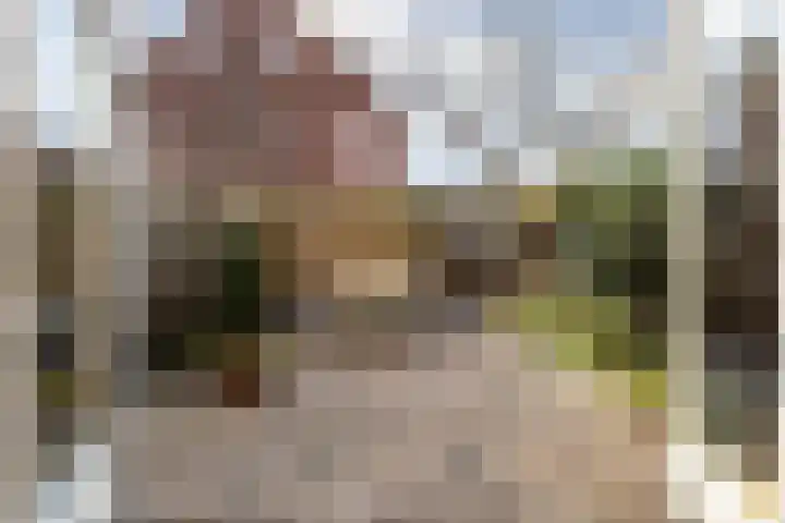 Grevelingenstraat 23 Utrecht thumbnail 28