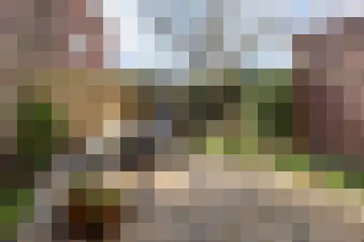 Grevelingenstraat 23 Utrecht thumbnail 29
