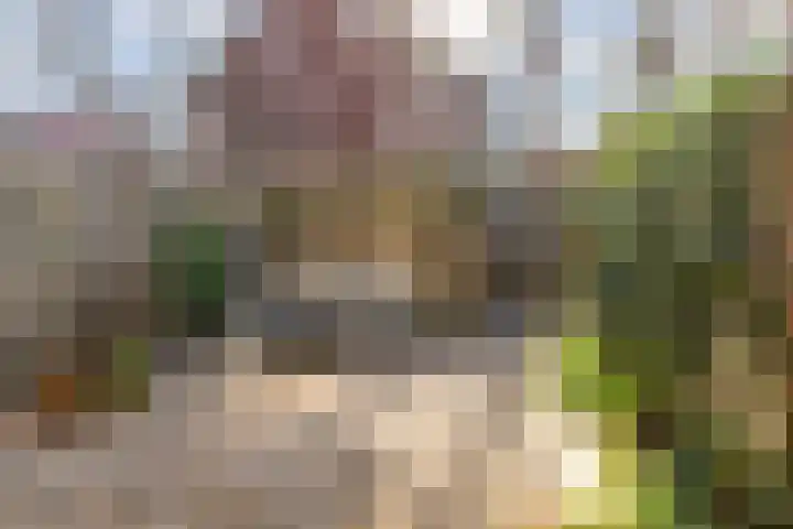 Grevelingenstraat 23 Utrecht thumbnail 30