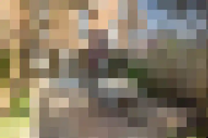 Grevelingenstraat 23 Utrecht thumbnail 31