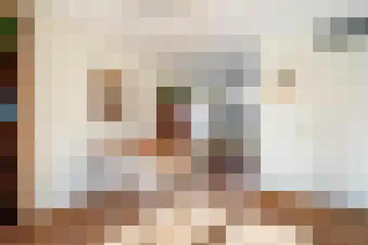 Grevelingenstraat 23 Utrecht thumbnail 8