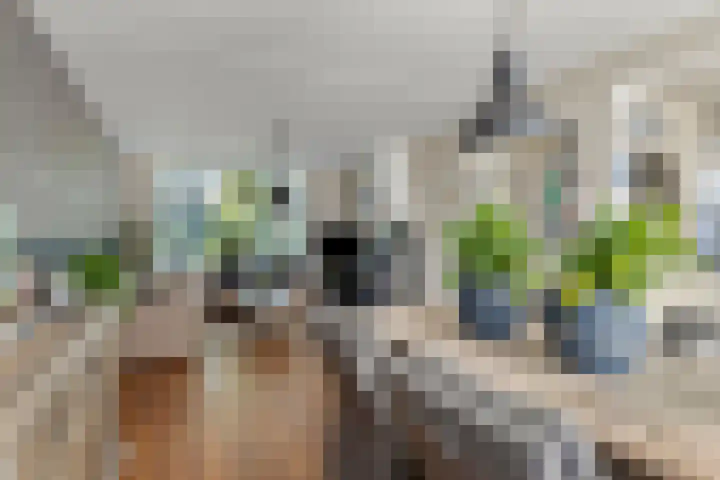 Grevelingenstraat 26 Bruinisse thumbnail 12