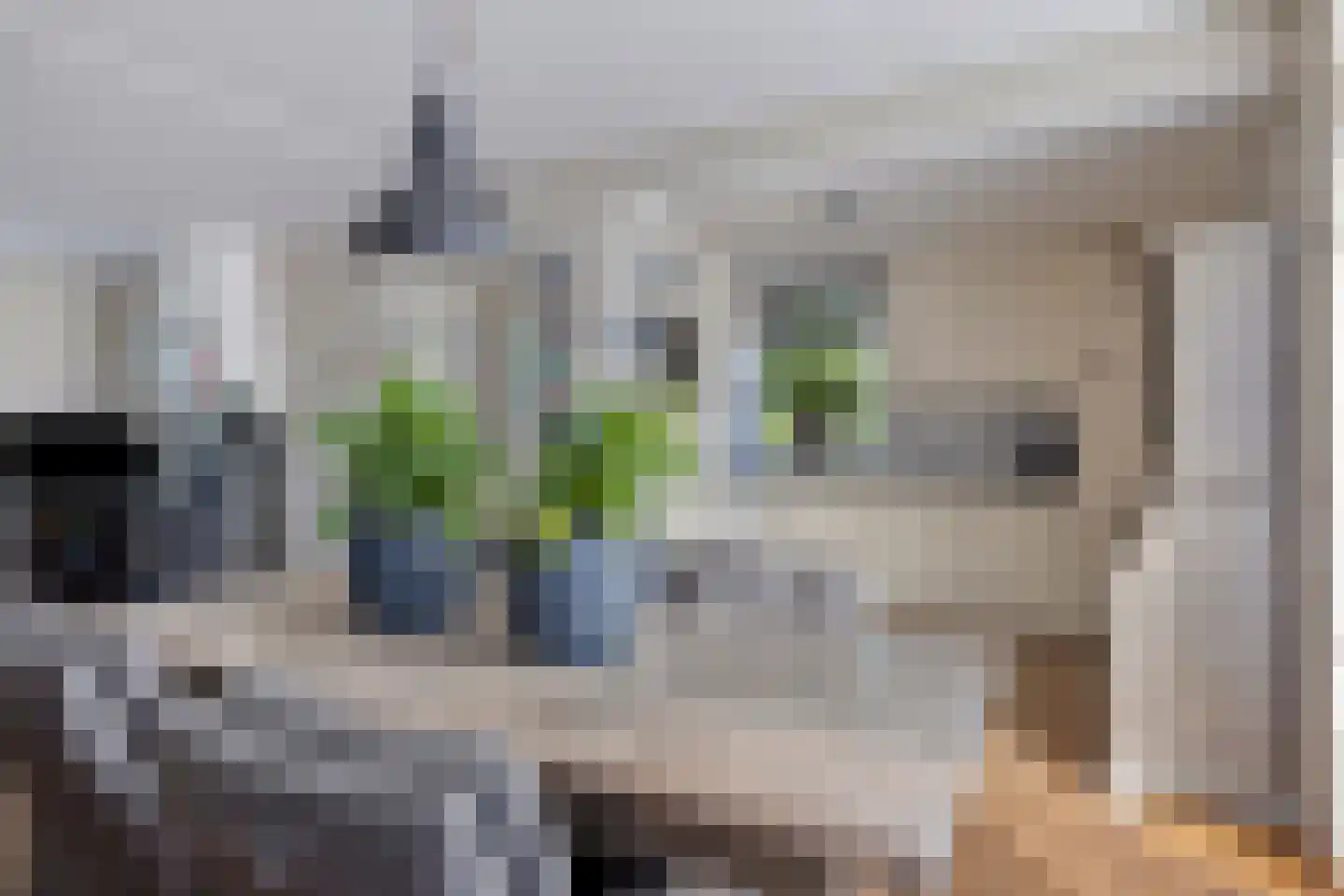 Grevelingenstraat 26 Bruinisse thumbnail 17