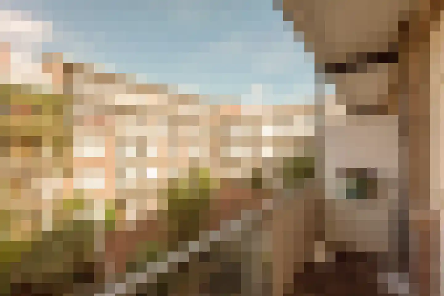 Grevelingenstraat 6 2L Amsterdam thumbnail 15