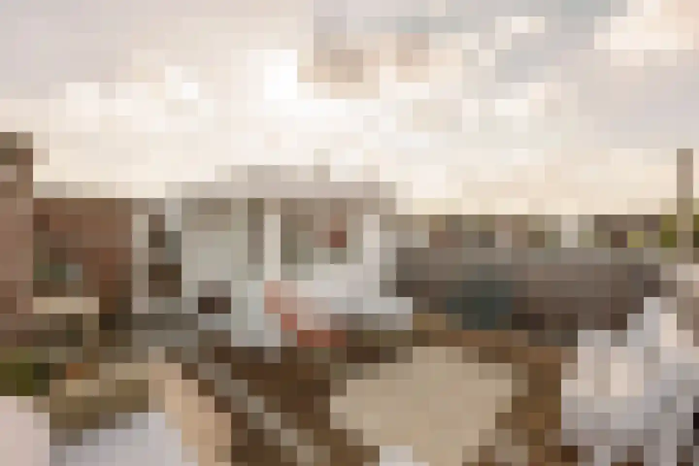 Grevelingenstraat 6 2L Amsterdam thumbnail 43