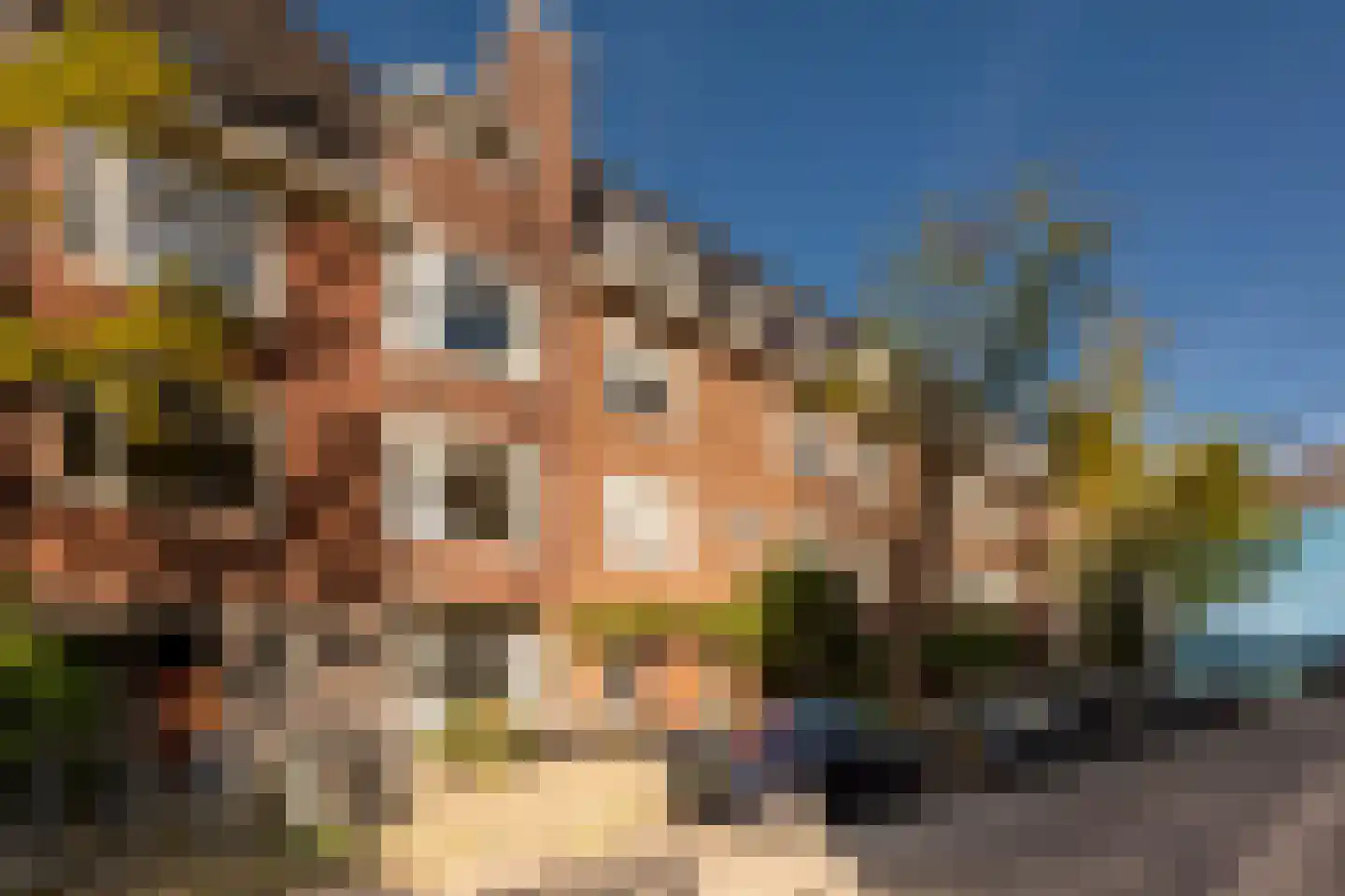 Grevelingenstraat 6 2L Amsterdam thumbnail 5