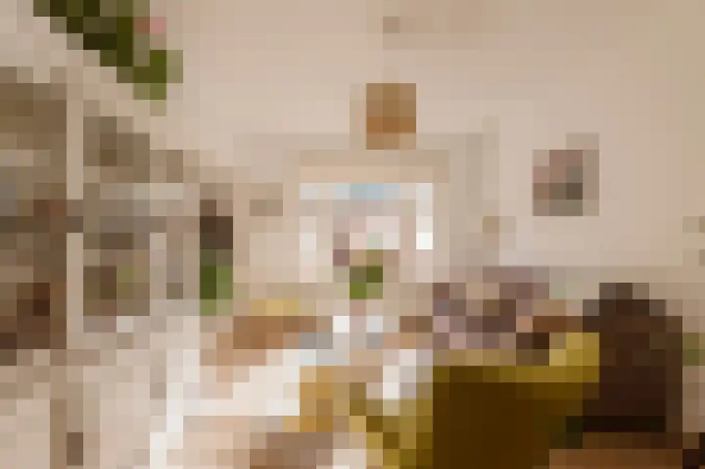 Grevelingenstraat 6 2L Amsterdam thumbnail 9