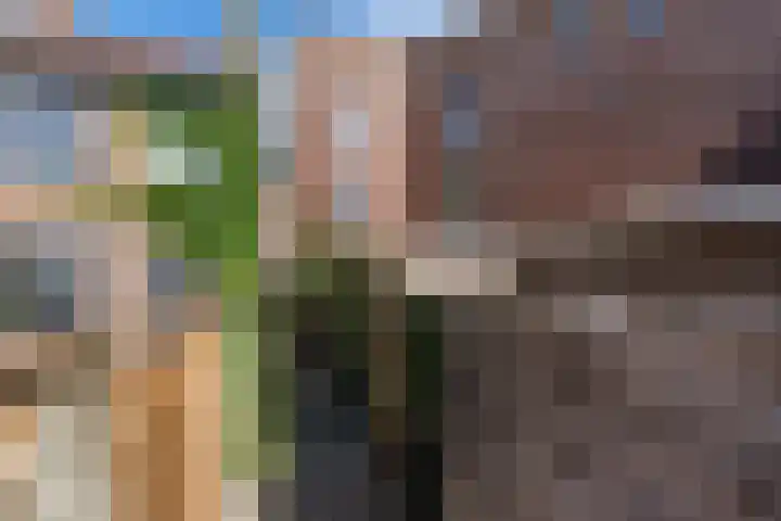 Grevelingenstraat 7 Utrecht thumbnail 33