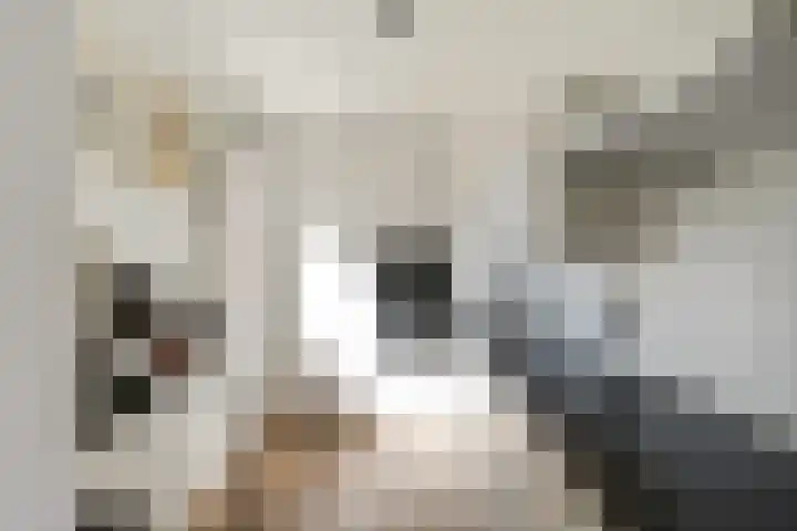 Grevelingenstraat 7 Utrecht thumbnail 7