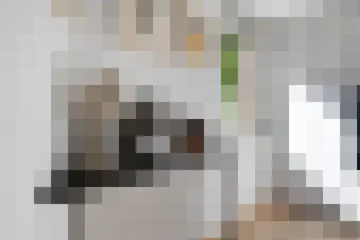 Grevelingenstraat 7 Utrecht thumbnail 9