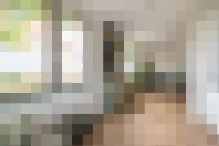 Grevelingenstraat 9 Utrecht thumbnail 4