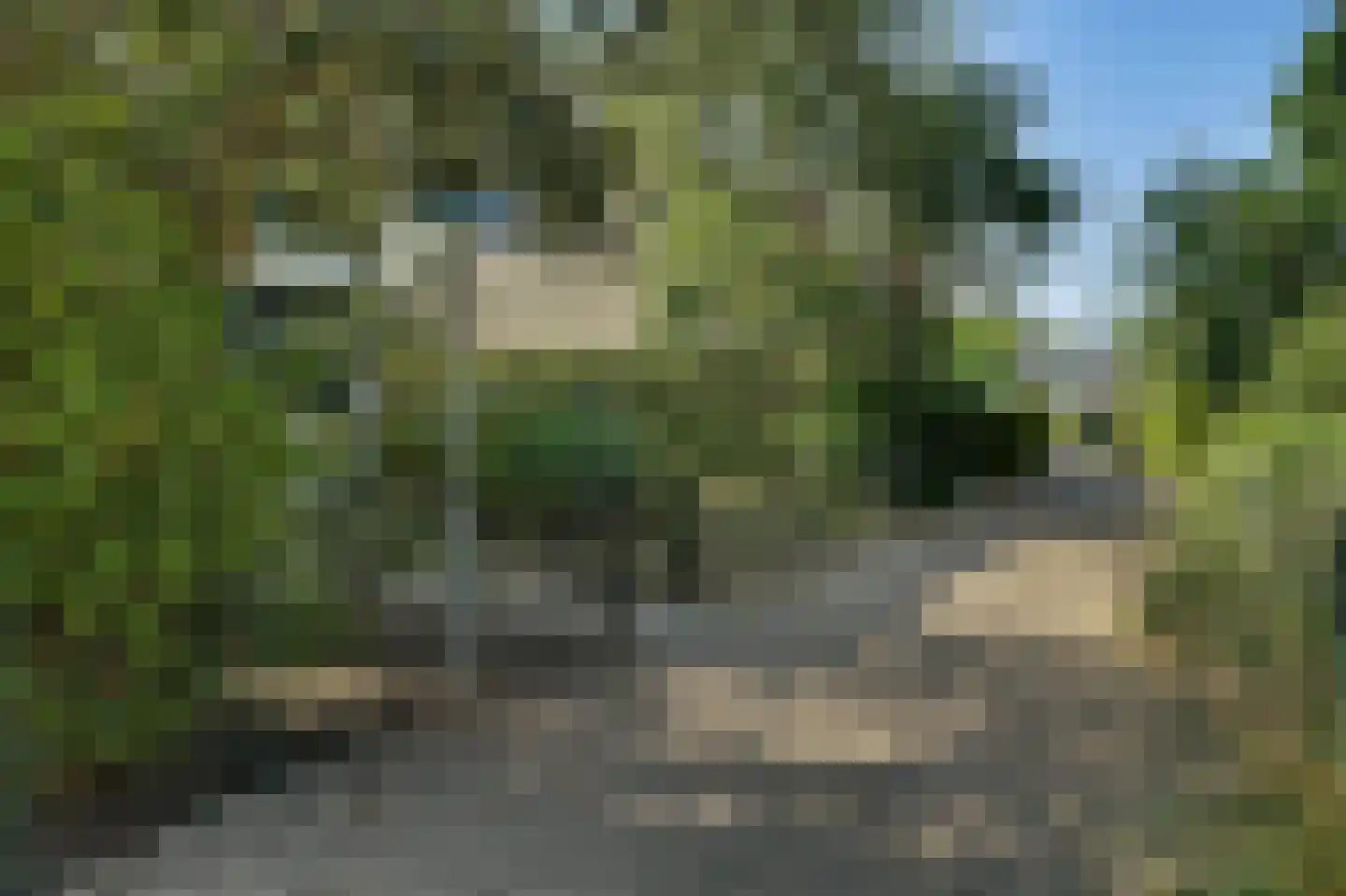 Grevelingse Slag 24 Brouwershaven thumbnail 5