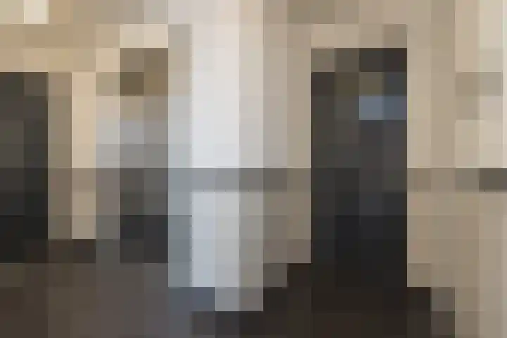 Grevelingstraat 140 Lisse thumbnail 7