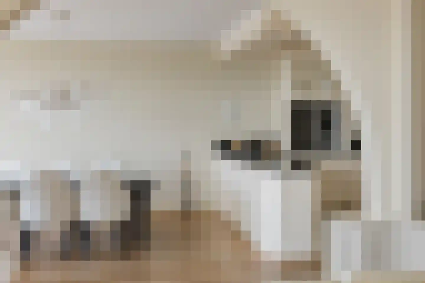 Grevelingstraat 144 Lisse thumbnail 26