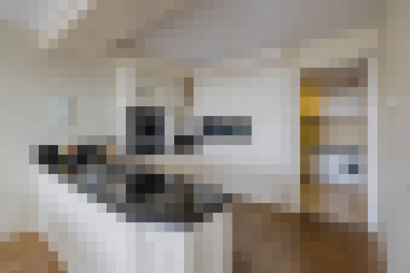 Grevelingstraat 144 Lisse thumbnail 32