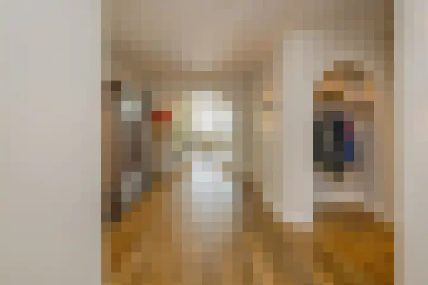 Grevelingstraat 144 Lisse thumbnail 9