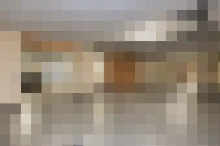 Grevelingstraat 148 Lisse thumbnail 35