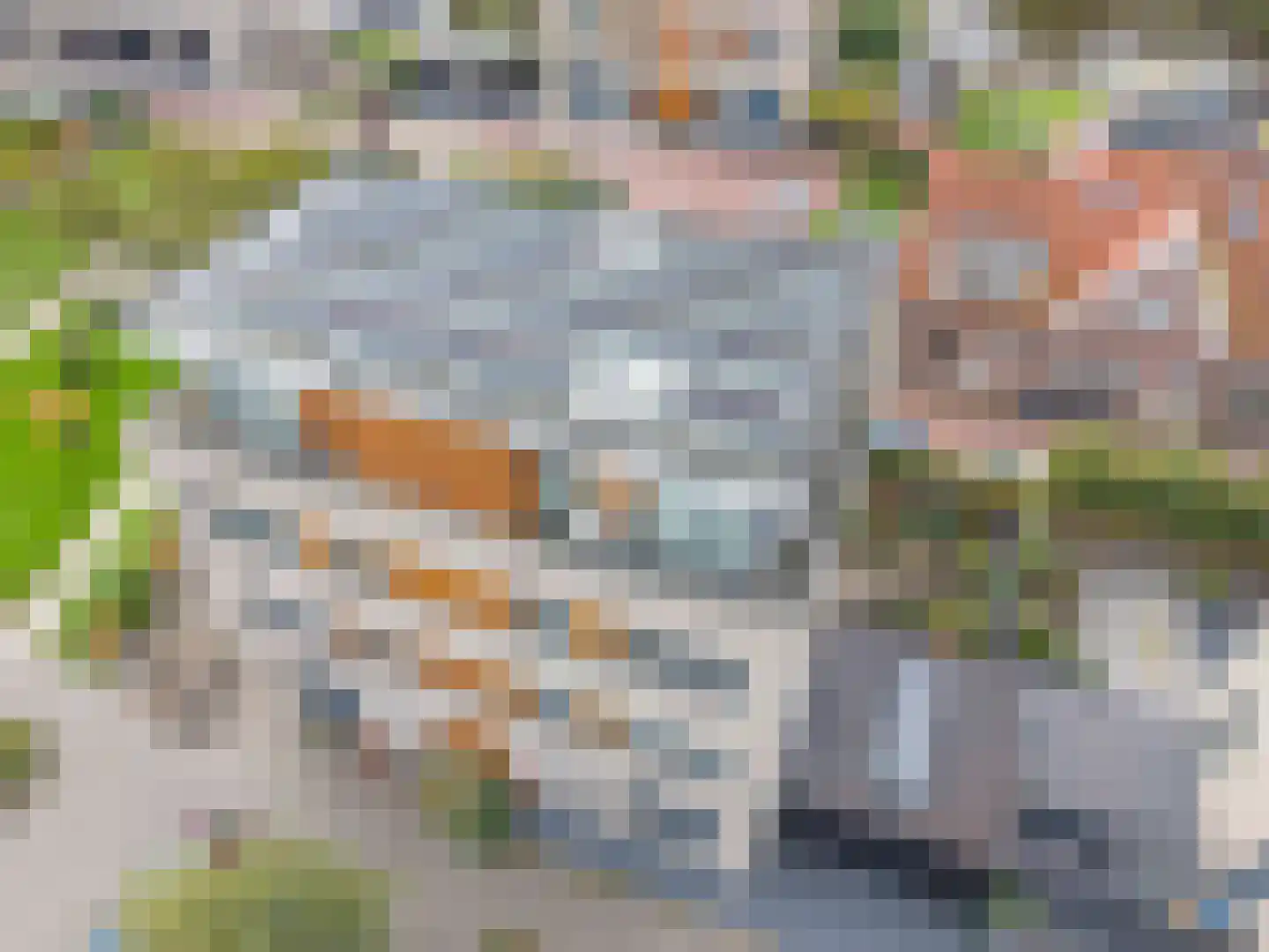 Grevelingstraat 28 Lisse thumbnail 45